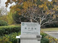 -上海崧泽遗址博物馆