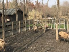 -溱湖国家湿地公园