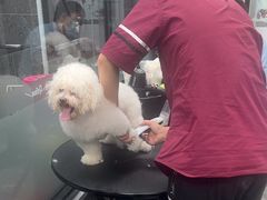 -宠物家(大兴旧宫店)