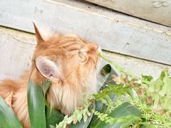 -小时光咖啡馆(北锣鼓巷店)