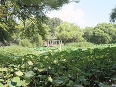 -北陵公园