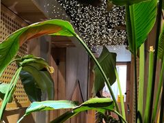 -邈墨茶馆(凤起路店)