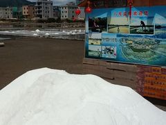 -盐洲岛