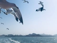 -海驴岛(荣成市)