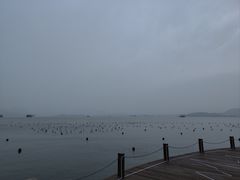 -西湖游船