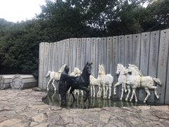 -白马涧龙池景区