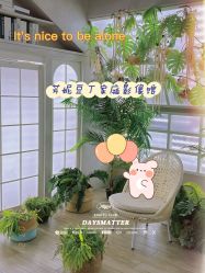 -芳妮豆丁家庭影像馆(宝安店)