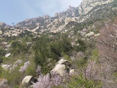 -崂山巨峰游览区