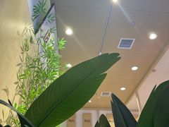 -鲜芋仙(高新益田假日里店)