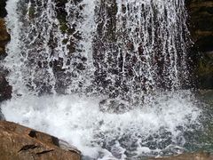 -广州白江湖森林公园