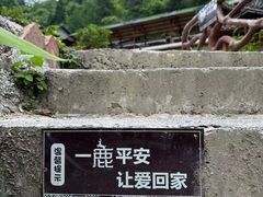 -鹿院坪生态旅游景区