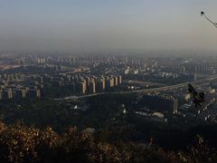 -杭州半山国家森林公园