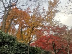 -虞山风景区