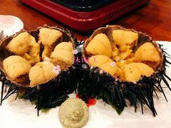 海胆-樱の花亭日本料理店