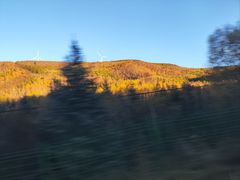 -塞罕坝国家级自然保护区