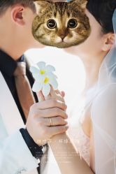 -四叶草环球旅拍