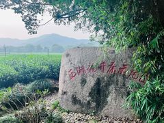 -中国茶叶博物馆(双峰馆区)