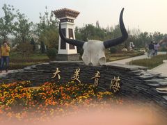 -武清南湖绿博园