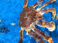 -盒马鲜生(大行宫店)