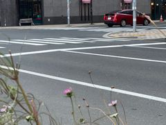 -狸小路商店街