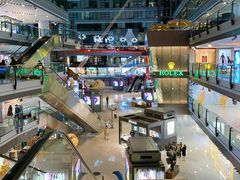 -小大董·烤鸭(凤凰汇店)