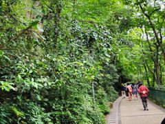 -黔灵山公园