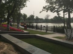 -上海长兴岛郊野公园