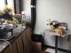-蜜肆动物奶油蛋糕·个性定制·下午茶甜品