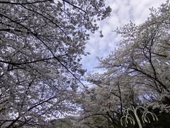 -杭州少年儿童公园