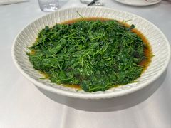 -圆苑(静安寺店)