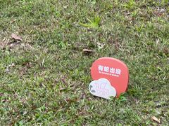 -福田红树林生态公园