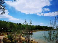 -丁香湖公园