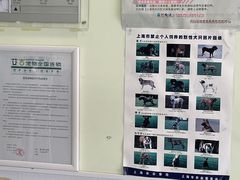 -艾吉宠物医院·疑难杂症转诊中心·猫友好(碧江路院)