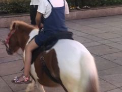 -汇德隆银隆