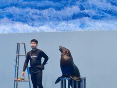 -福州罗源湾海洋世界旅游区