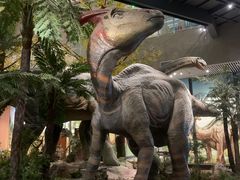 -湖南省地质博物馆