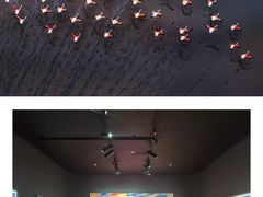 -罗红摄影艺术馆