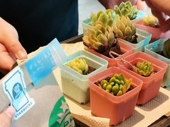 -星巴克(绍兴镜湖中新广场店)