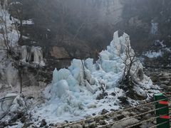 -陕西省红河谷森林公园