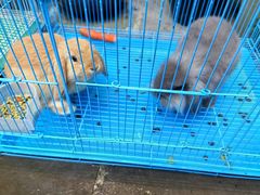 -华冠悠岚·庭院餐厅(青城后山店)