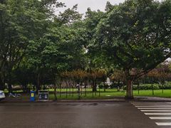 -渔桥李记奶汤面(东街店)