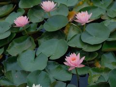 -白鹭湾湿地公园