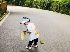 -三门江国家森林公园