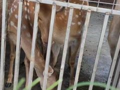 -迪茵湖田家舍生态农场