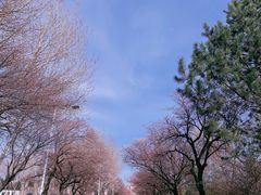 -吉林大学(南岭校区)