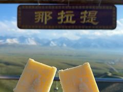 -新疆那拉提国家旅游度假区