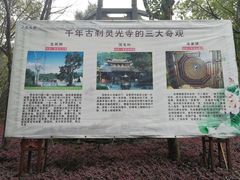 -灵光寺