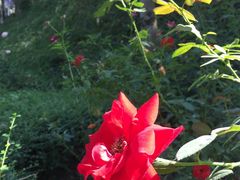 -人民公园(罗湖区)