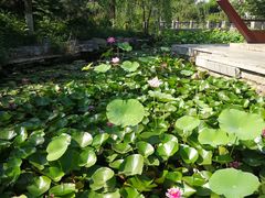 -万源龙顺度假庄园生态观光园