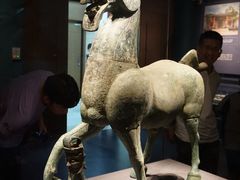 -广西壮族自治区博物馆